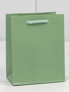 Пакет подарочный «Фактура», 12х15 см, бледно-зеленый