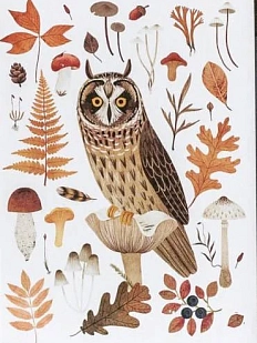 Открытка «Сова», светлая, Дворникова Александра