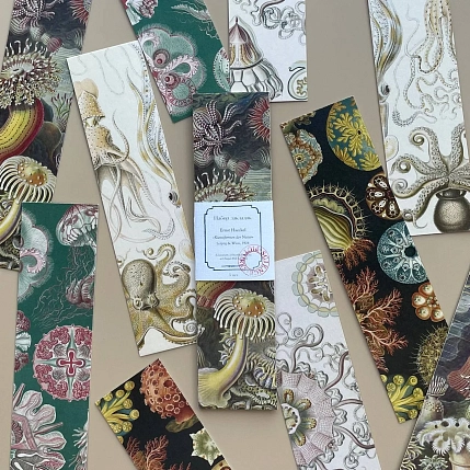 Набор закладок «Kunstformen der natur», 5 шт, фото 1.