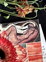 Стикерпак Nansy's Shop «Ветер перемен», 12 х 17 см, превью фото 4