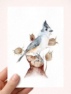 Открытка Наталья Филипович «Синица королевская», А6