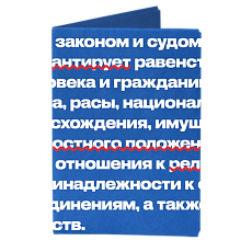 Обложка на паспорт «New Law»