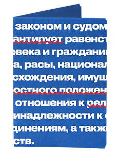 Обложка на паспорт «New Law»