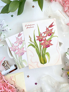 Открытка «Орхидея Беаллара», А6