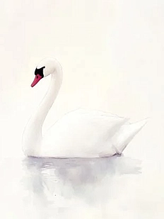 Картхолдер двойной DARI DARI «Белый лебедь», экокожа