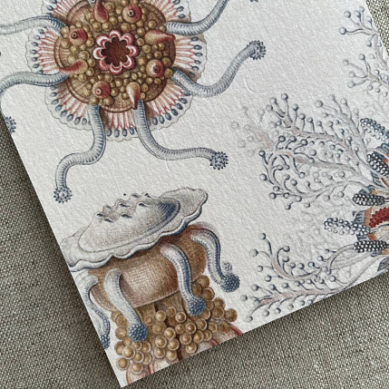 Блокнот «Ctenophorae», А6, фото 2.