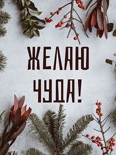 Открытка на Новый год «Желаю чуда»