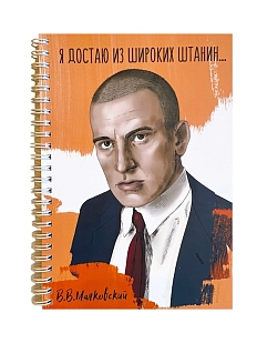 Тетрадь «Достаю из широких штанин...»