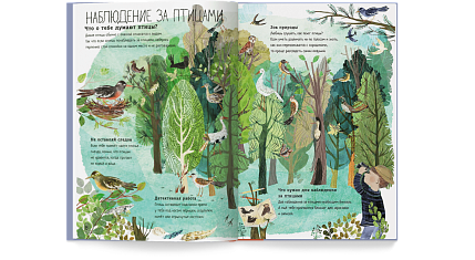 Большая книга птиц, фото 4.