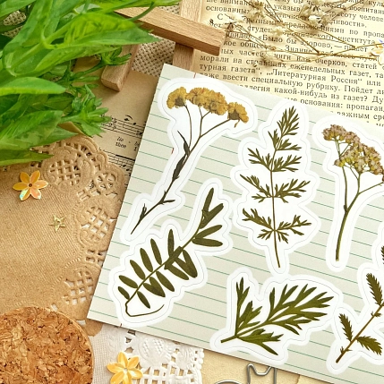 Стикерпак Лавкот «Гербарий», А6, фото 2.