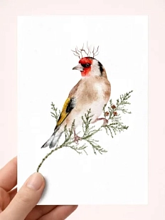 Открытка Наталья Филипович «Щегол королевский», А6