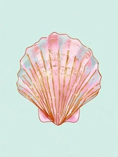 Картхолдер двойной DARI DARI «Ракушка», экокожа