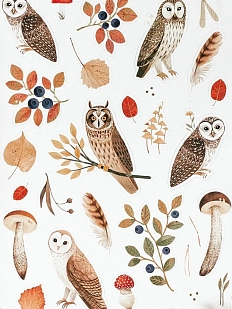 Стикерпак «Совы в осеннем лесу»