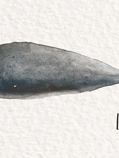 Открытка ЙЕТТИ «Love» кит, А6, белая