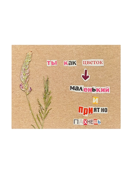 Открытка Так всё и было «Ты как цветок, маленький и приятно пахнешь», коричневая, 7х9 см, фото 1.
