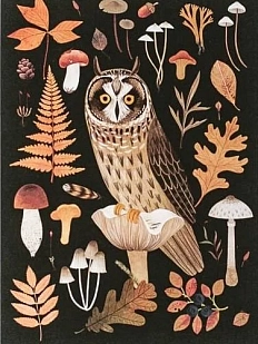 Открытка «Сова», тёмная, Дворникова Александра