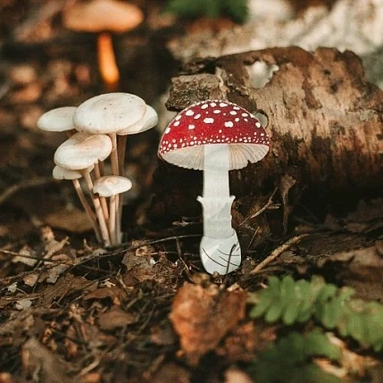 Брошь «Мухомор», дерево, фото 4.