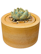 Шкатулка «Суккуленты №5», 7 см, керамика