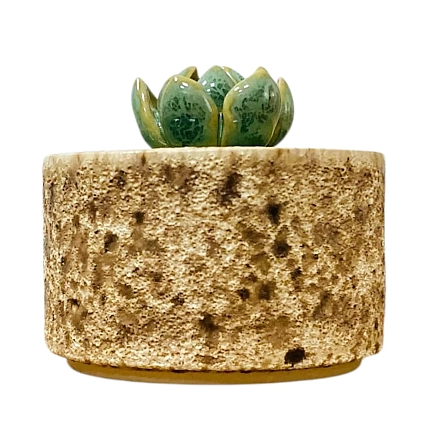 Шкатулка «Суккуленты №3», 7 см, керамика, фото 4.