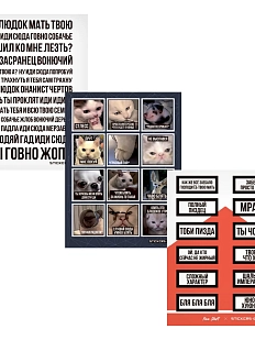 Набор стикерпаков 3 шт: «Smoking kills №2», «Wtf?», «Animals»
