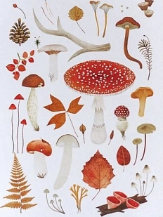 Открытка «Лесные находки», белая, Дворникова Александра