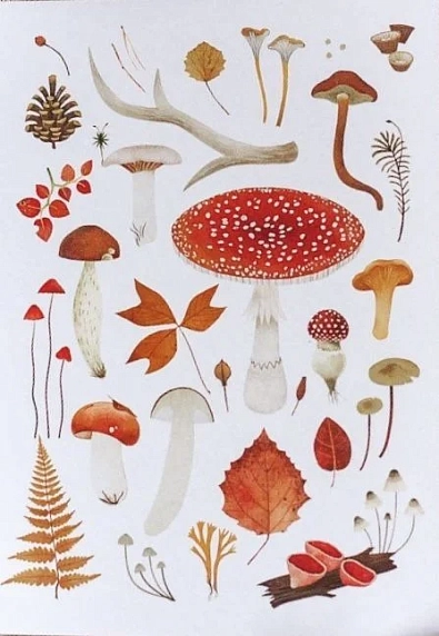 Открытка «Лесные находки», белая, Дворникова Александра, фото 1.