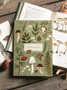 Блокнот «Из леса», А5, 42 листа, светло-зелёный
