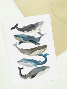 Открытка DARI DARI «Киты», А6