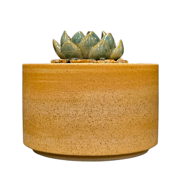 Шкатулка «Суккуленты №5», 7 см, керамика, фото 2.