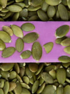 Шоколад Бабл гам с тыквенными семечками 28 гр