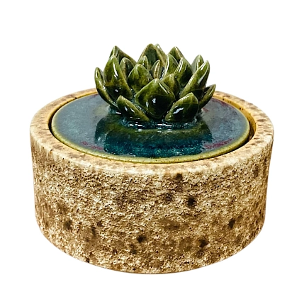 Шкатулка «Суккуленты №2», 10 см, керамика, фото 1.