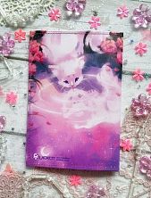 Обложка на паспорт «Бриллианс»