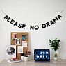 Гирлянда «PLEASE NO DRAMA», превью фото 2