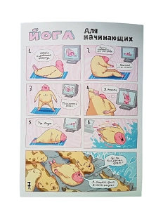 Плакат ШКЯ «Сивуч», А4