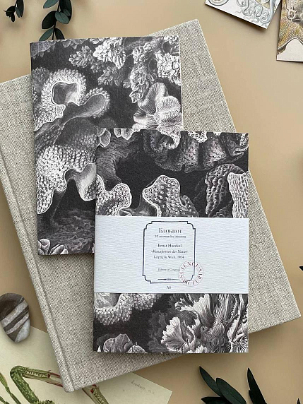 Блокнот «Кораллы», А6, фото 1.