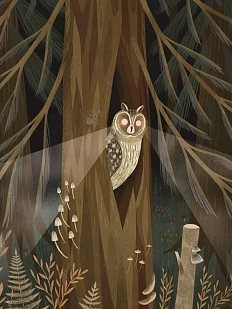 Открытка «Ушастая сова», Дворникова Александра