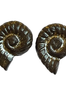 Серёжки-гвоздики КерамЕлКа «Панцирь», керамика