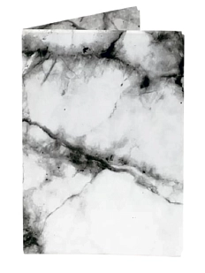 Обложка на паспорт New Wallet «New Moonlight», мрамор