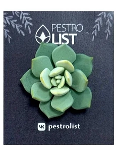 Брошь ручной работы «Суккулент», зелёная, полимерная глина