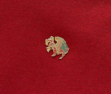 Металлический значок Heart of Moscow «Змей Горыныч» серия Сказки, фото 3.