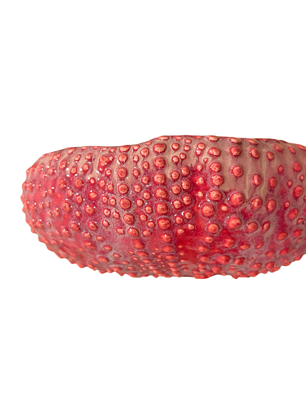 Салатник морской ёж ручной работы VELES «Поцелуй Арвен», фарфор, 750 мл, фото 3.