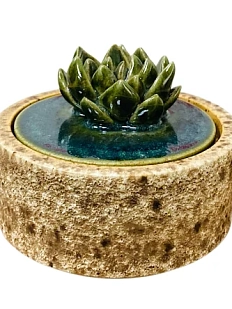 Шкатулка «Суккуленты №2», 10 см, керамика