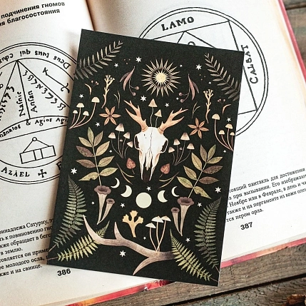 Мини-постер «Череп оленя», Дворникова Александра, фото 2.