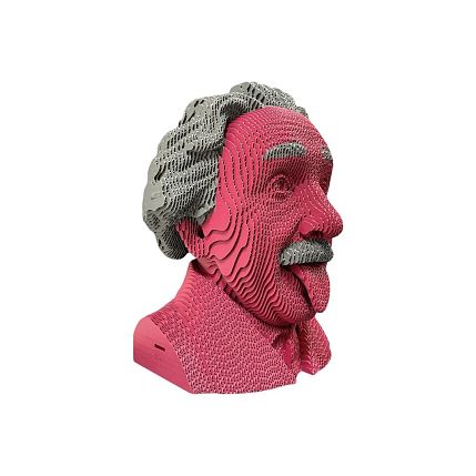 Собранный картонный бюст 3D «Эйнштейн», фото 3.