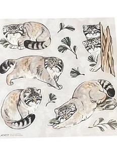 Стикерпак Лавкот «Манулы», 12 x 12 см