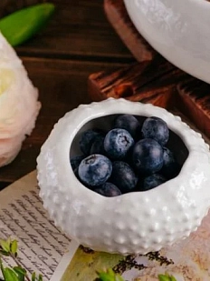 Соусник морской ёж ручной работы VELES «Звезда Элендиля», фарфор