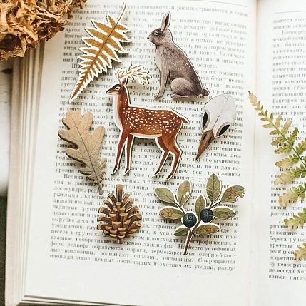 Деревянная брошка «Птичий череп», фото 2.