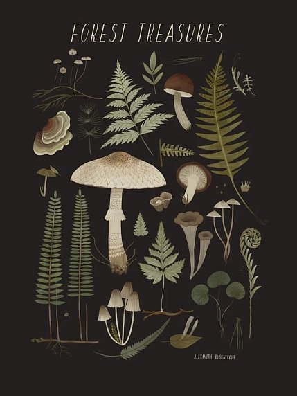 Открытка «Лесные сокровища», тёмная, Дворникова Александра, фото 1.