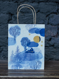 Крафт-пакет «Зимняя ночь»